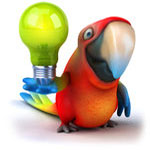 Parrot with a lightbulb
