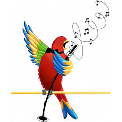 Music Enrichment for Parrots