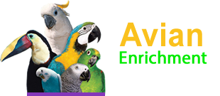 Avian Enrichment 