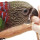 Bird Bites - Don't Blame the Bird!