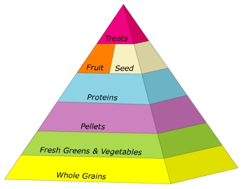 FoodTriangle