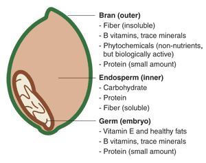 whole grain diagram